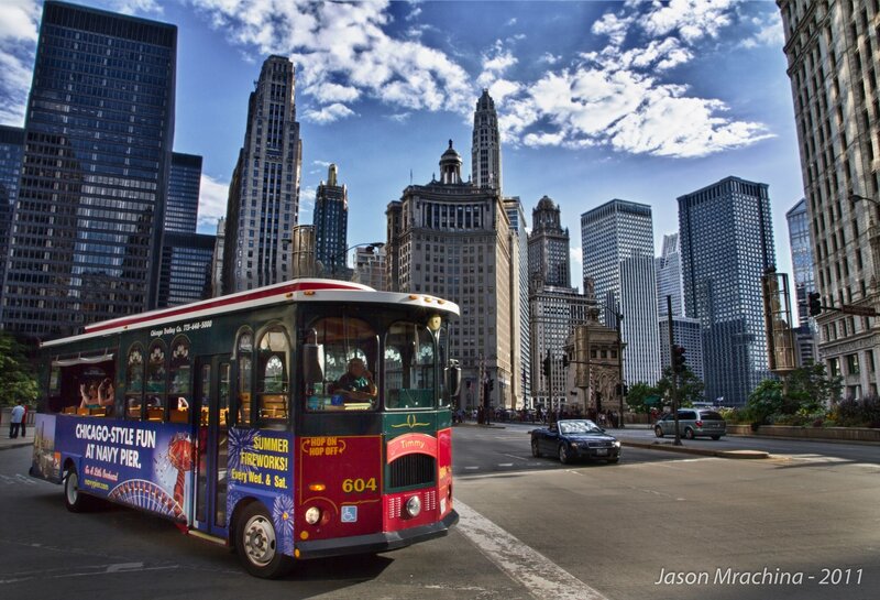 Tourist Bus in City