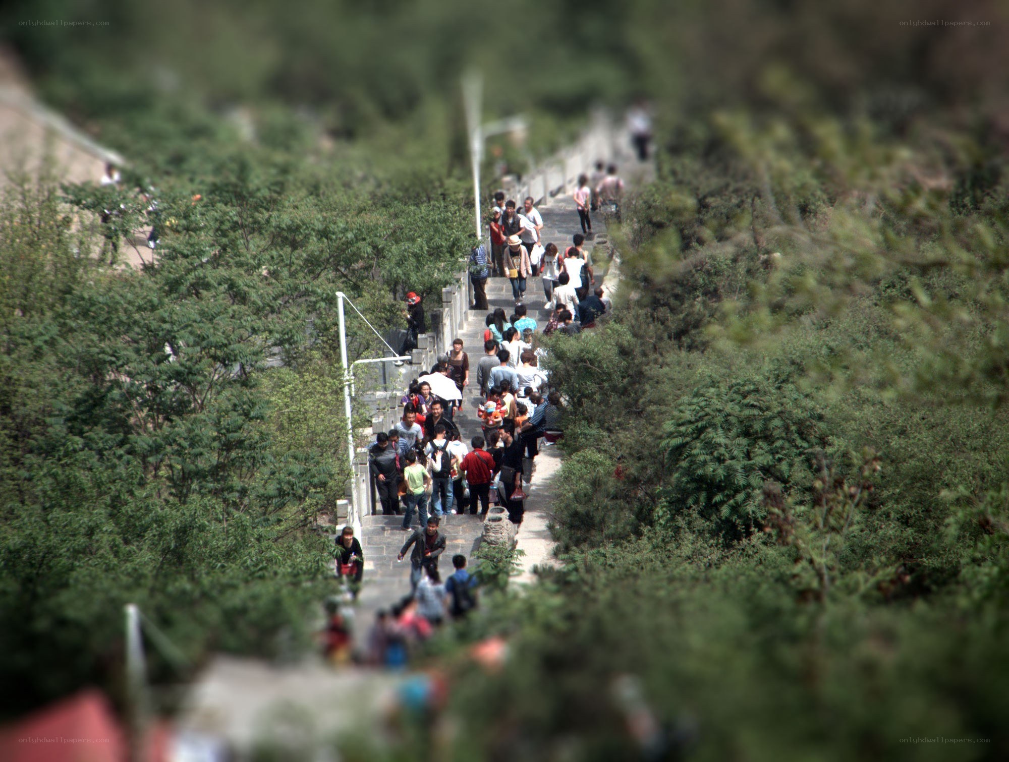 Tourists on a mountain path