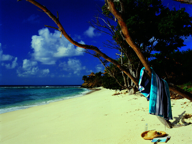 Towel on Beach Branch