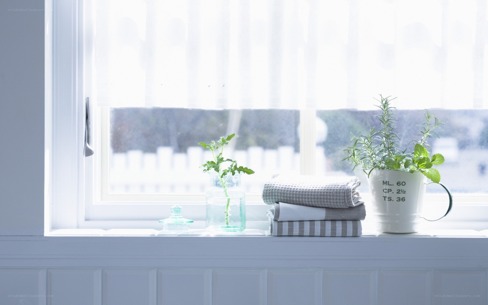 Towels and plants on a windowsill