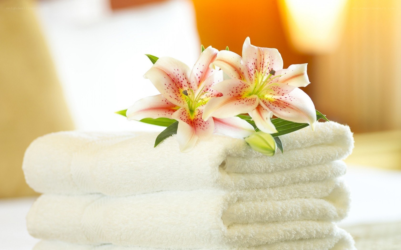 Towels with lilies on bed