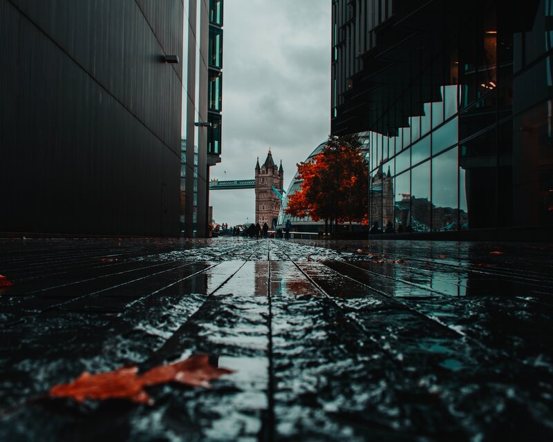 Tower Bridge View — Black