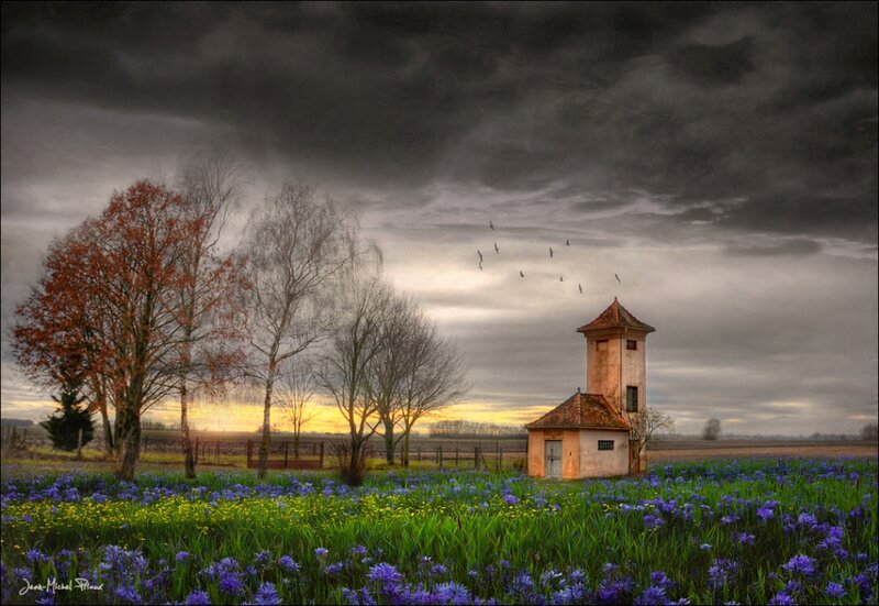 Tower in Flower Field — Purple