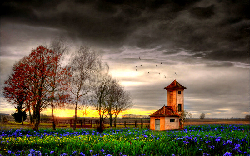 Tower in Flower Field