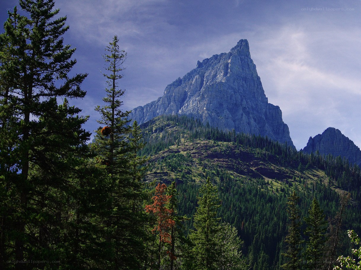 Towering mountain peak in forest