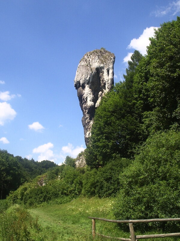 Towering rock formation in forest
