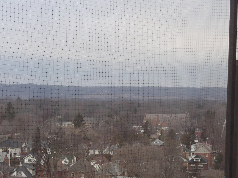 Town View Through Net