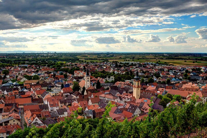 Town with Red-roofed Buildings