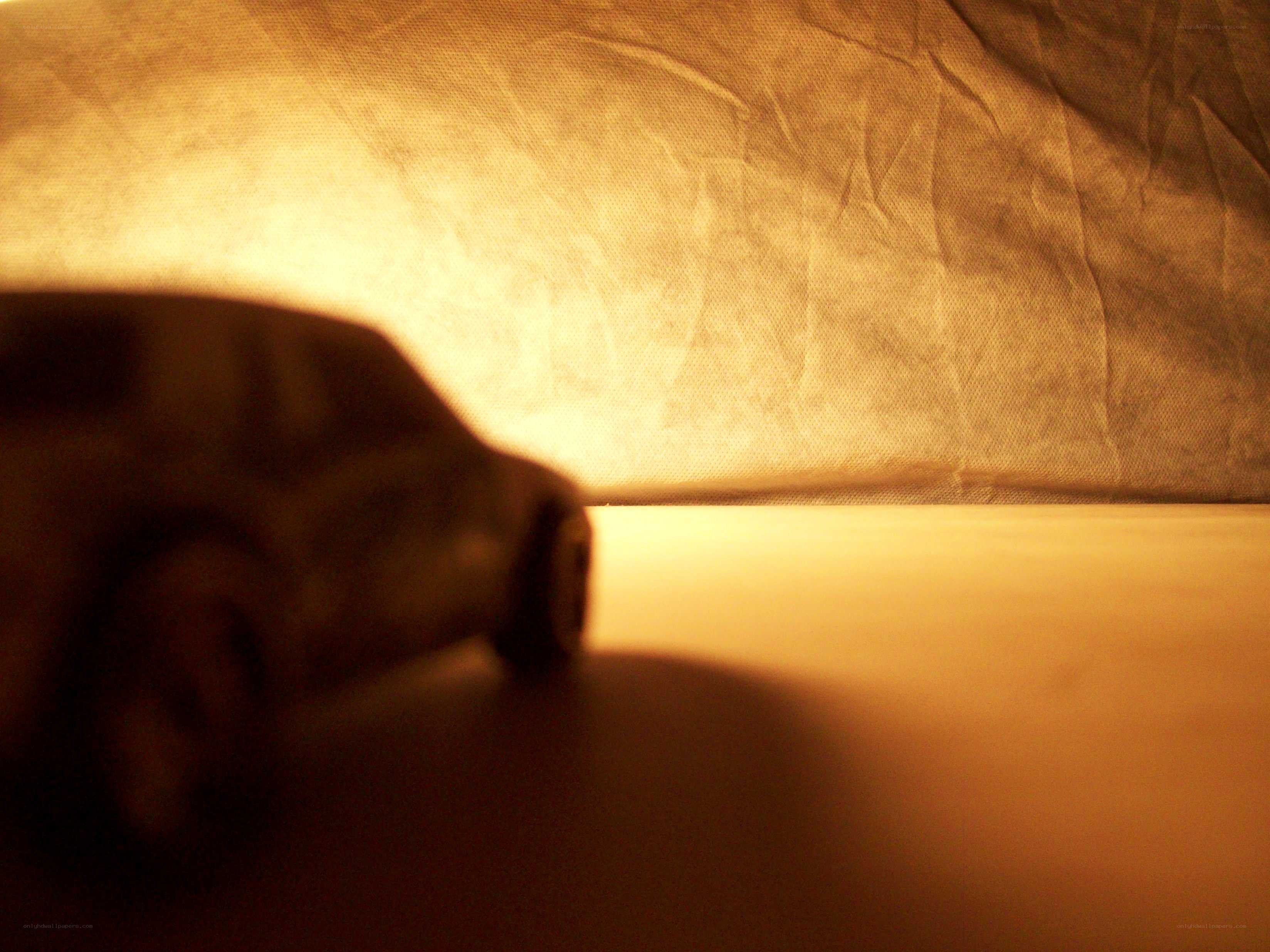 Toy car in warm light