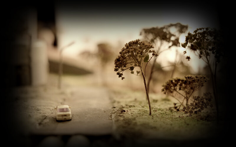 Toy Car on Miniature Road