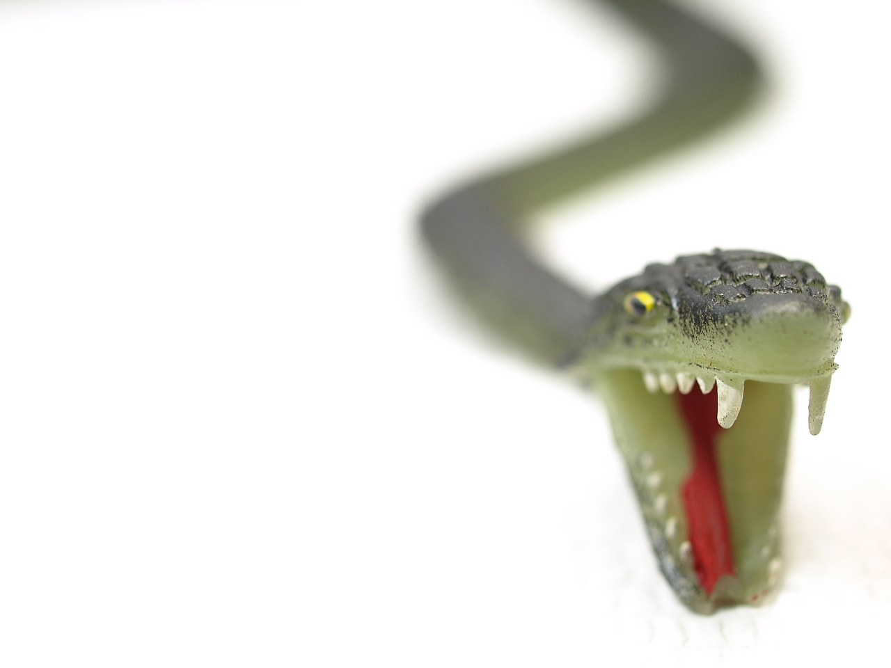 toy snake with open mouth