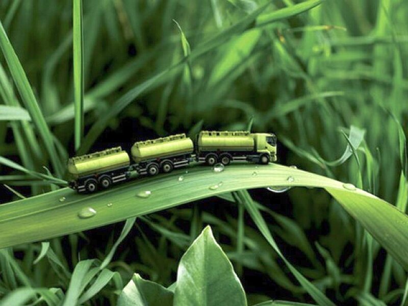 Toy trucks on a dewy leaf