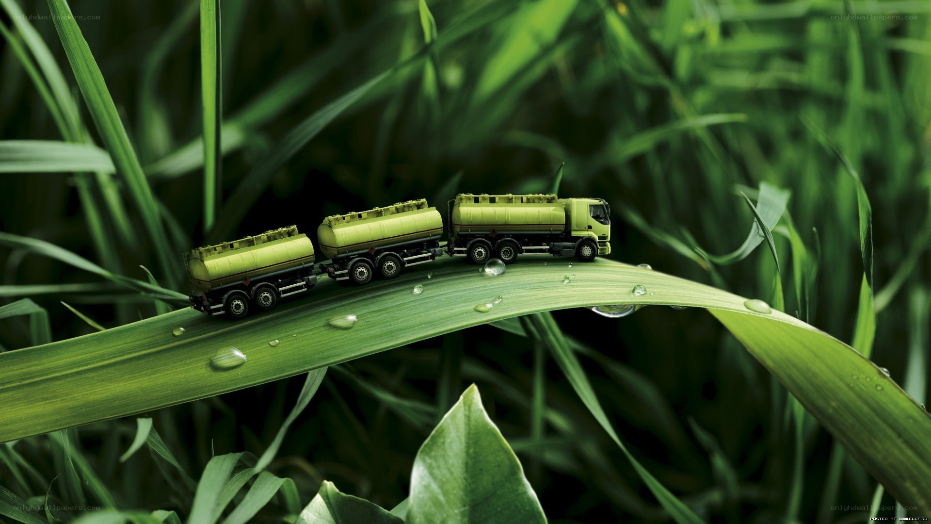 Toy trucks on a grass blade