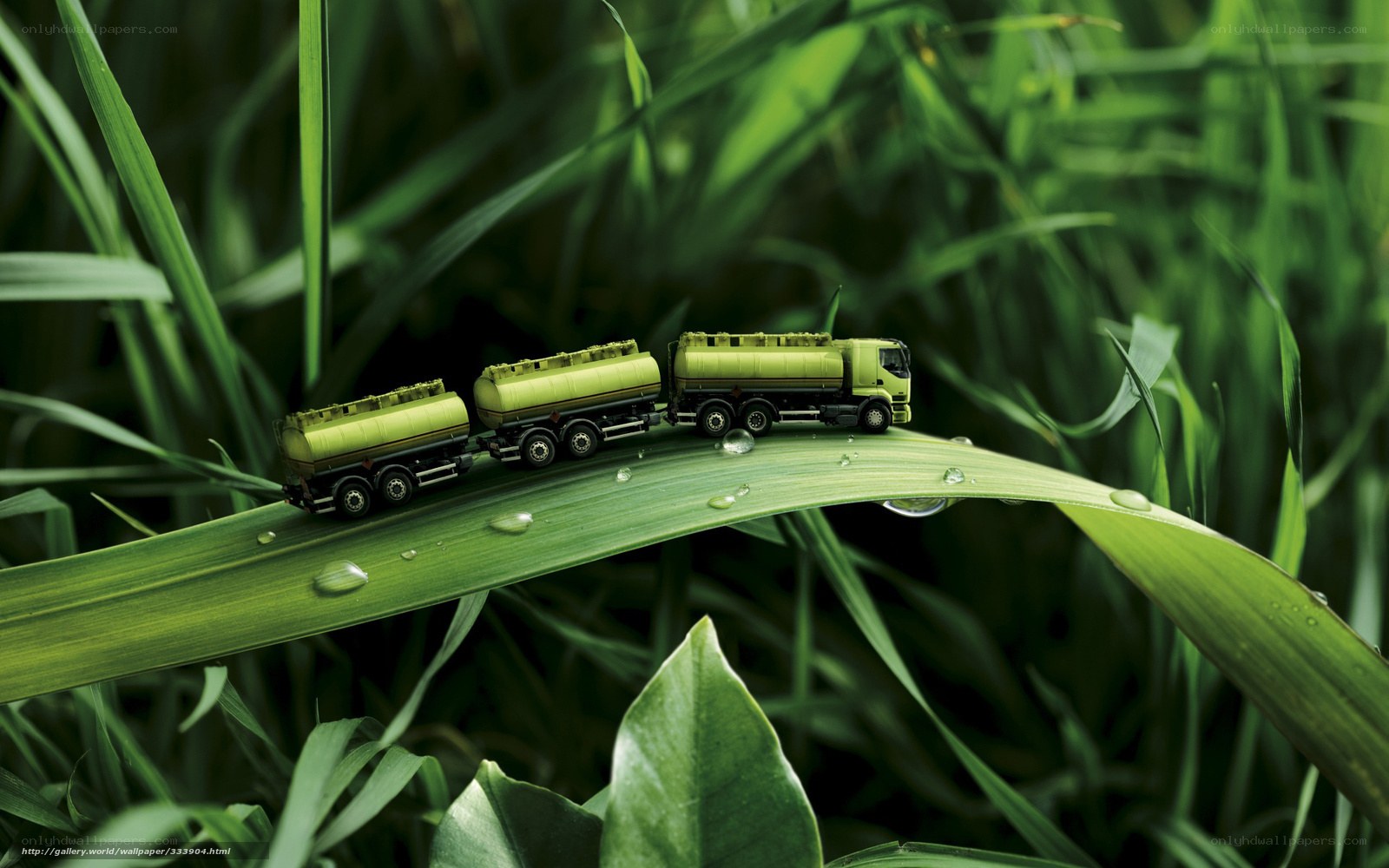 Toy trucks on a grass blade