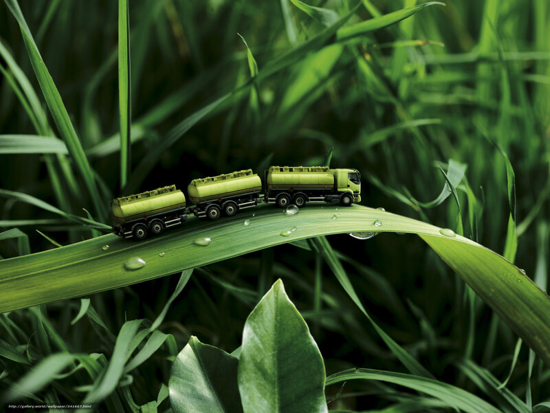 Toy trucks on a leaf
