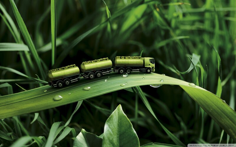 Toy Trucks on Leaf