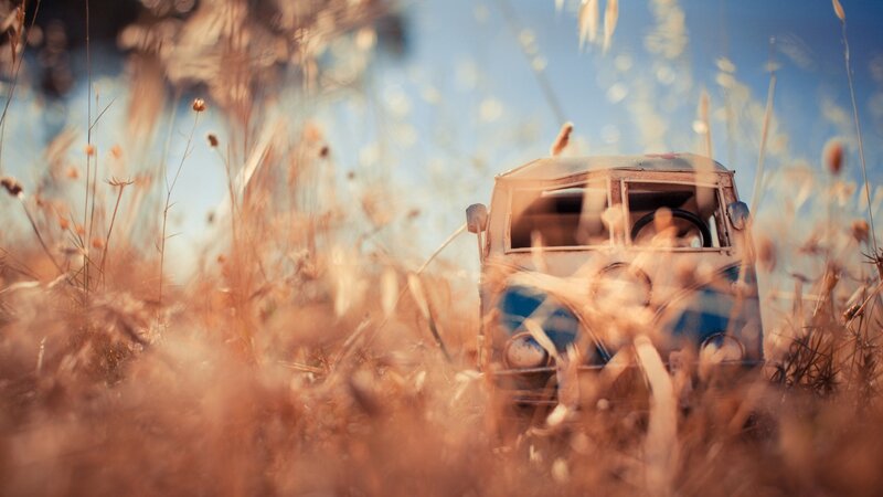 Toy Van in Tall Grass