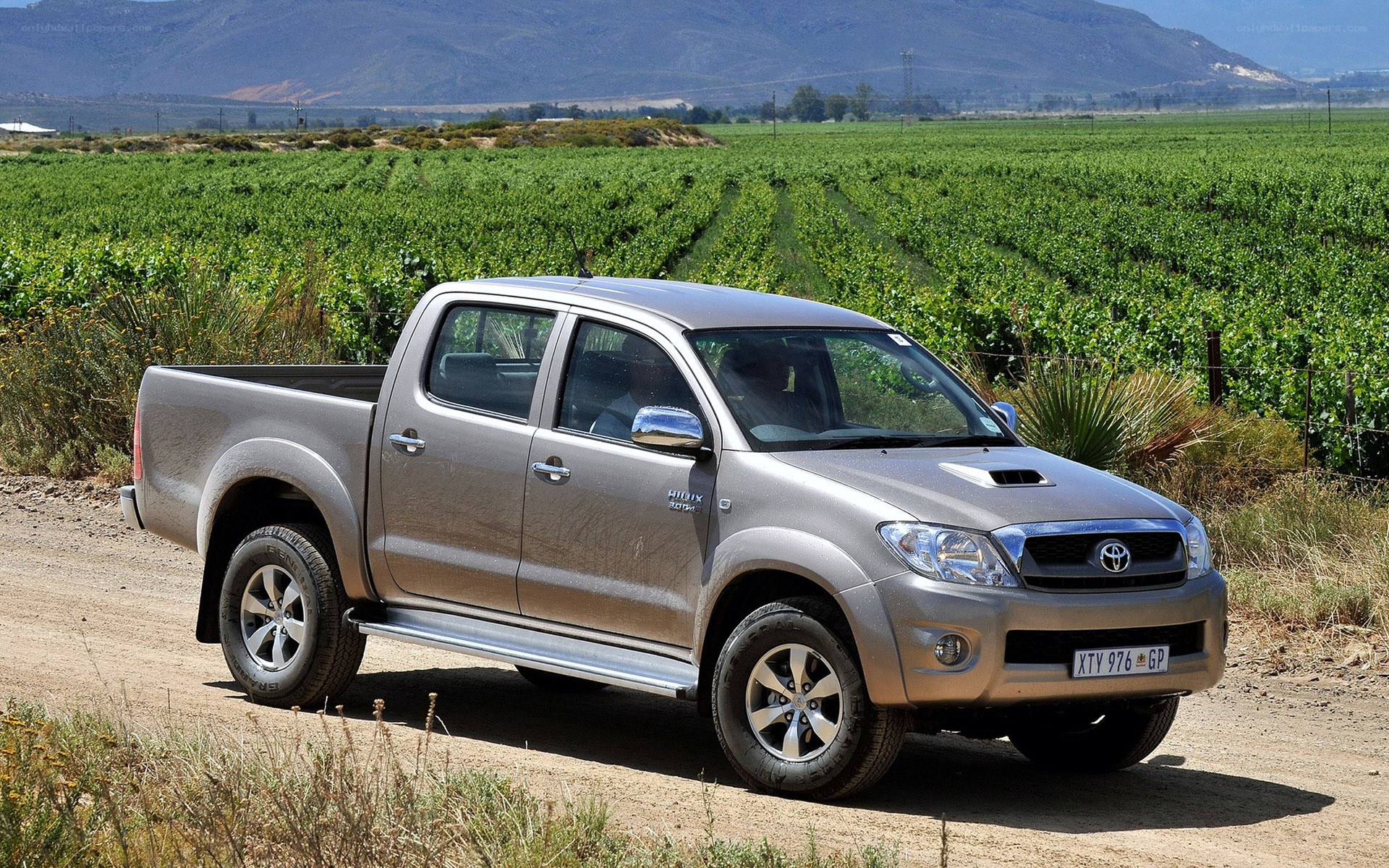 Toyota Hilux in vineyard