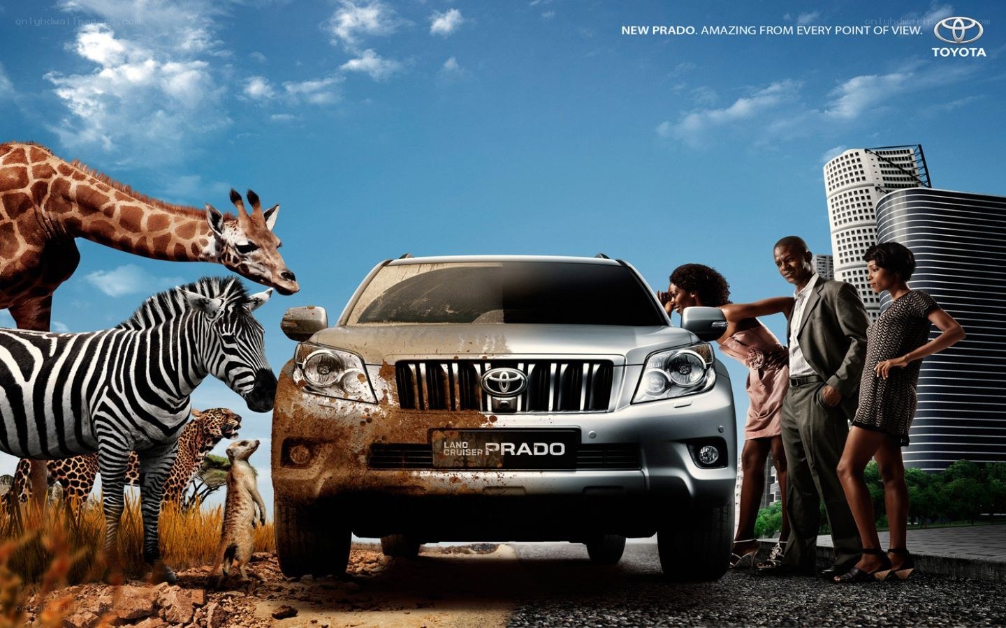 Toyota Prado advertisement
