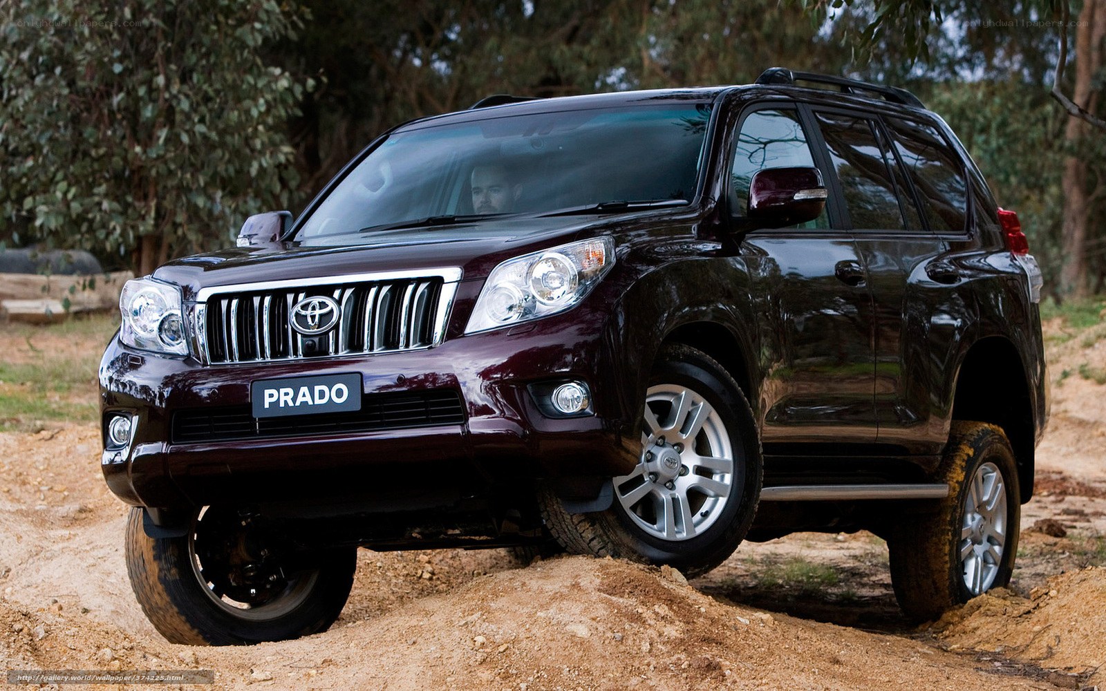 Toyota Prado off-road