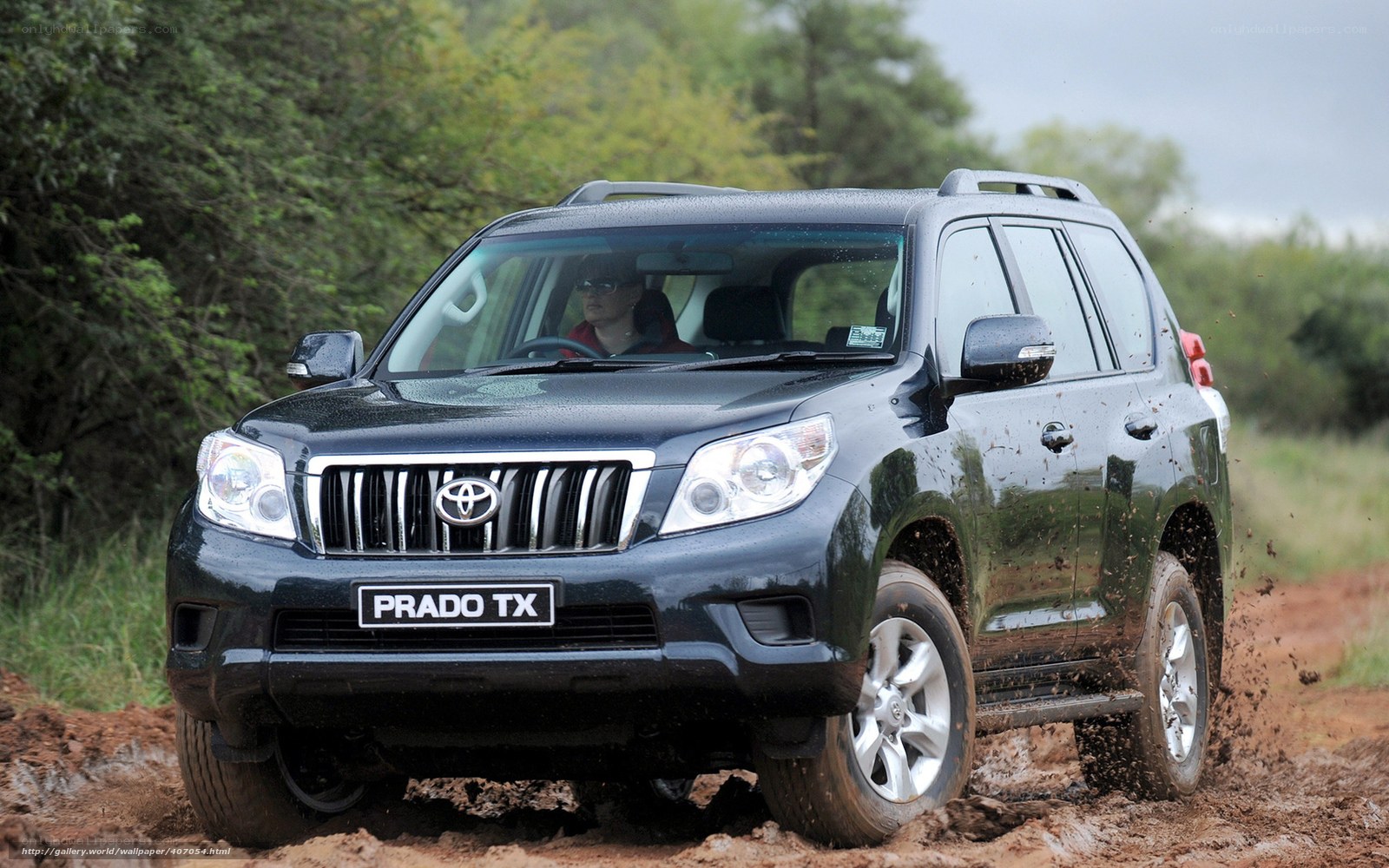 Toyota Prado off-roading