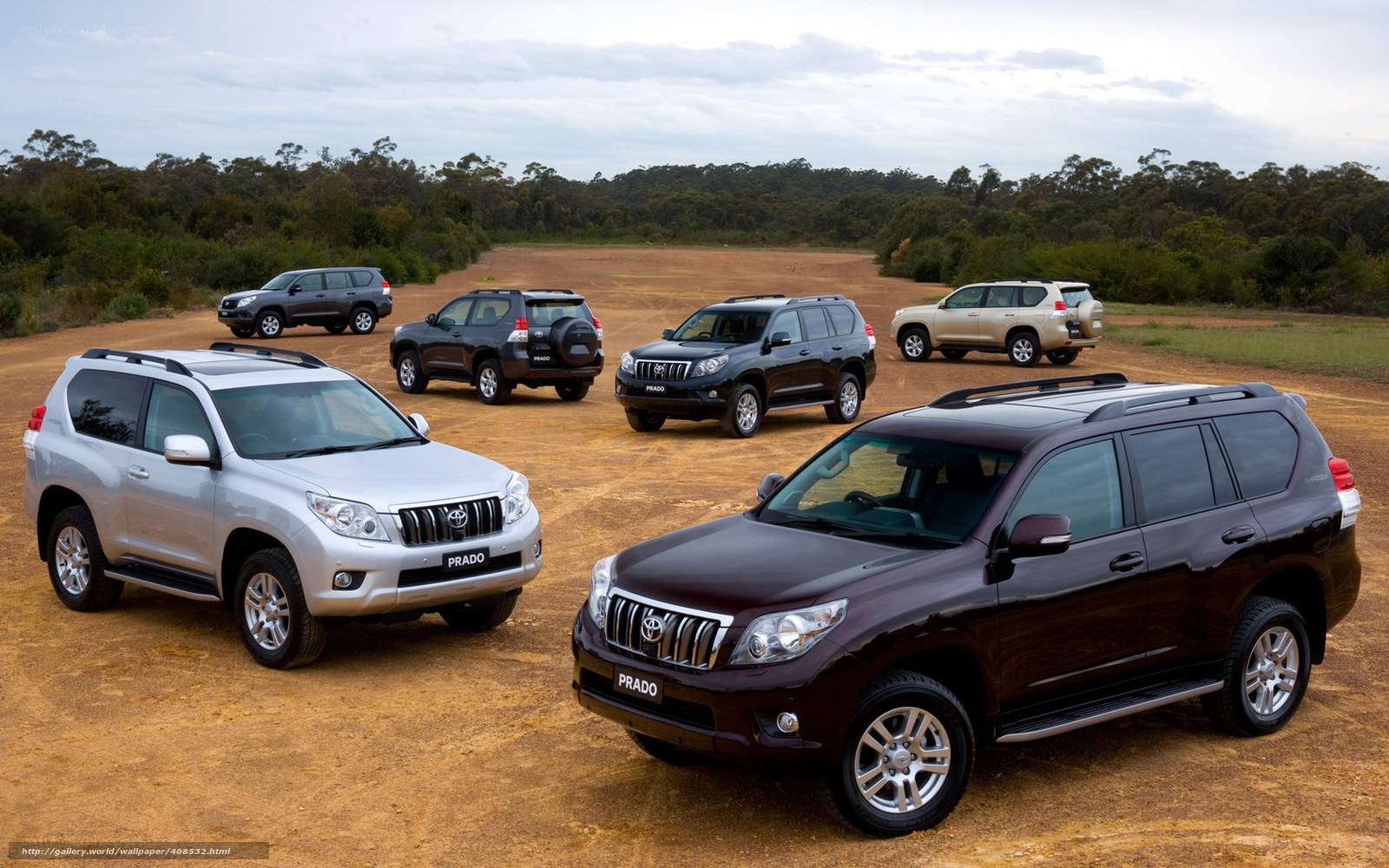 Toyota Prado SUVs in a field
