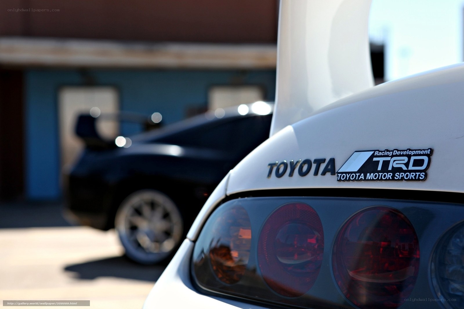 Toyota TRD car rear view