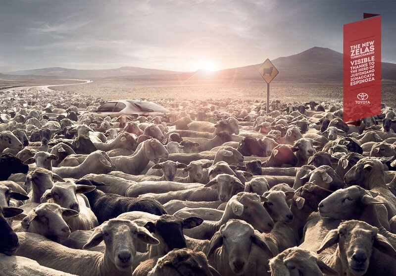 Toyota Zelas ad with sheep