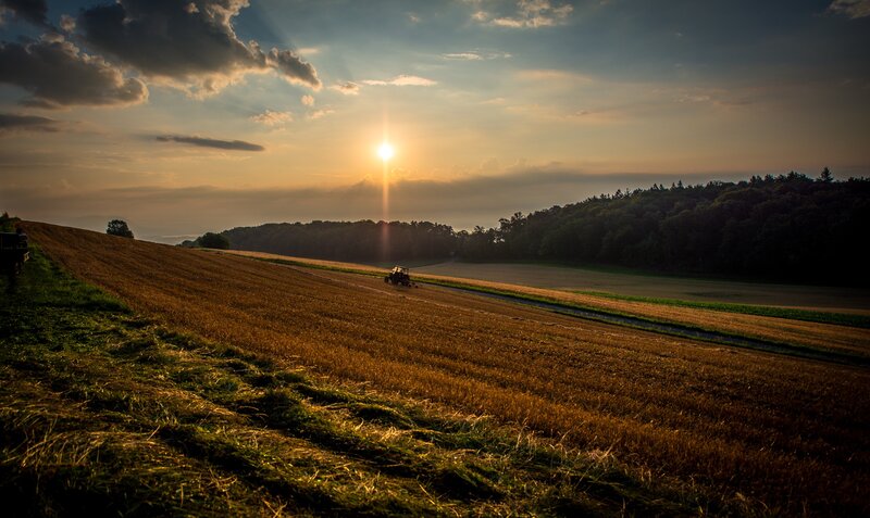 Tractor harvesting at sunset