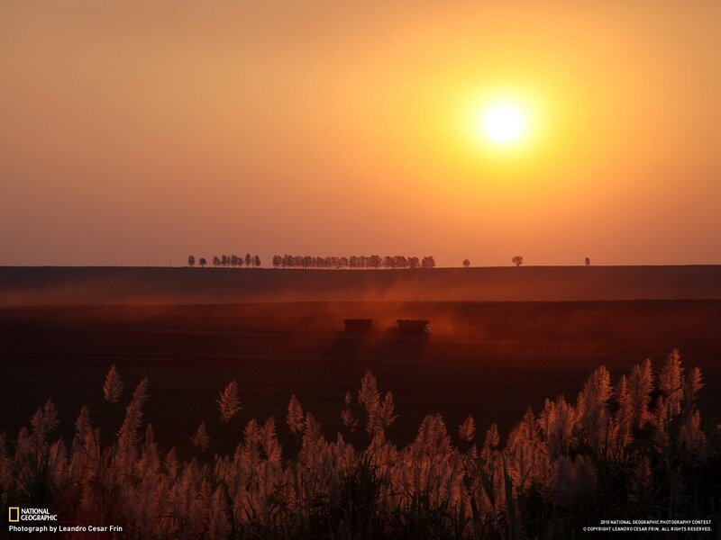 Tractor Harvesting Field