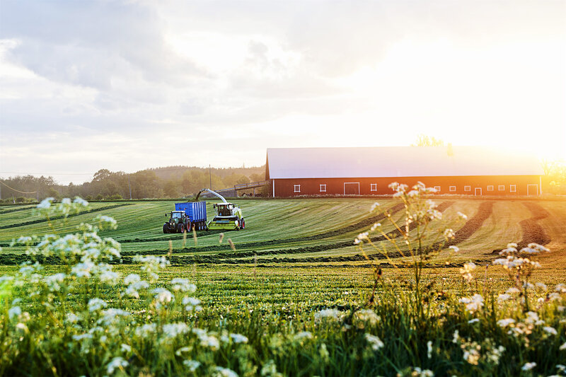 Tractor Harvesting Hay