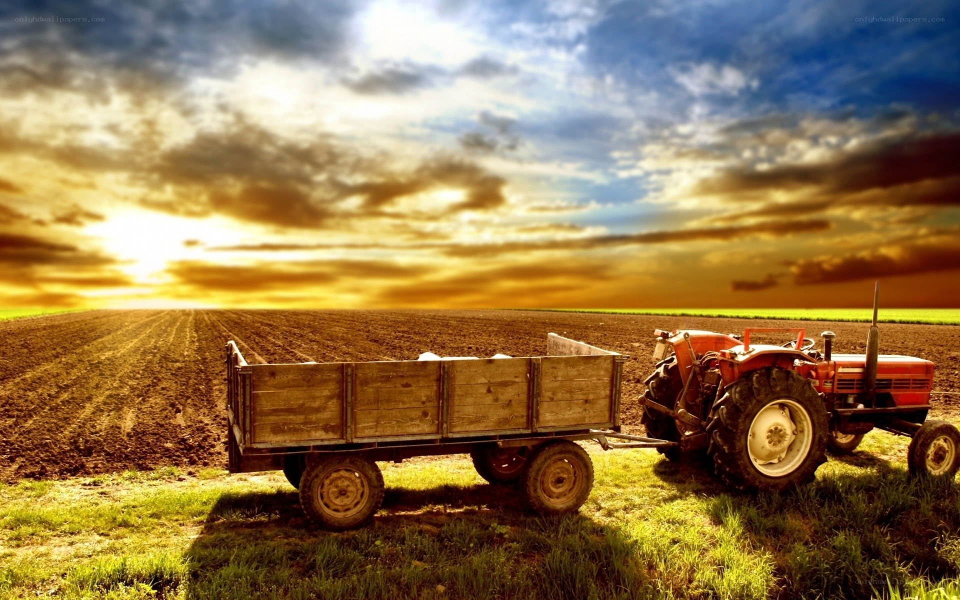 Tractor in a field at sunset
