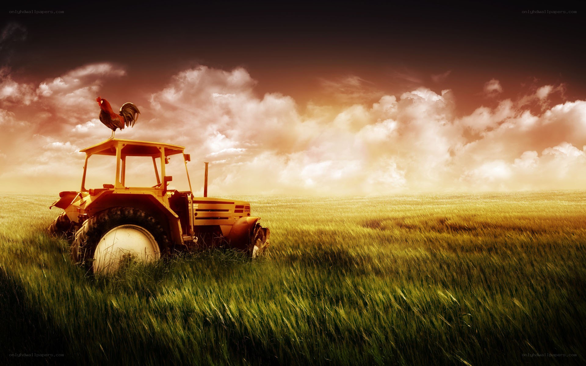 Tractor in a field at sunset