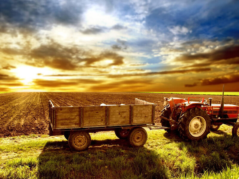 Tractor in a field at sunset