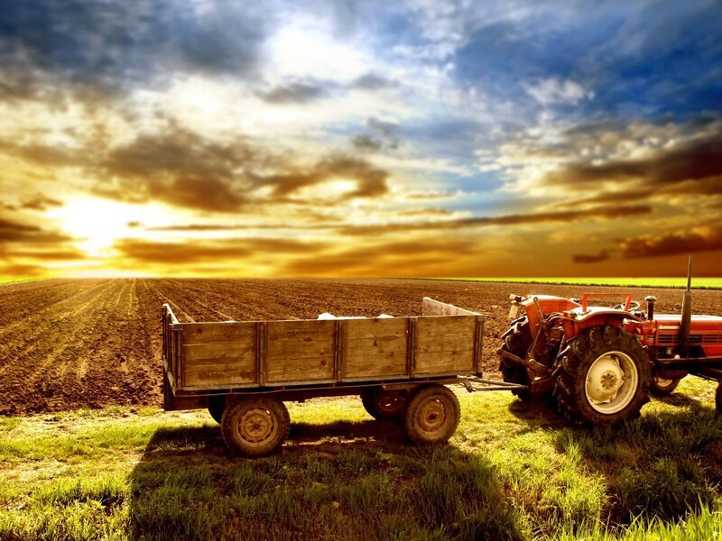 Tractor in a field at sunset