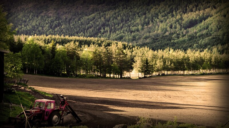 Tractor in a forested valley