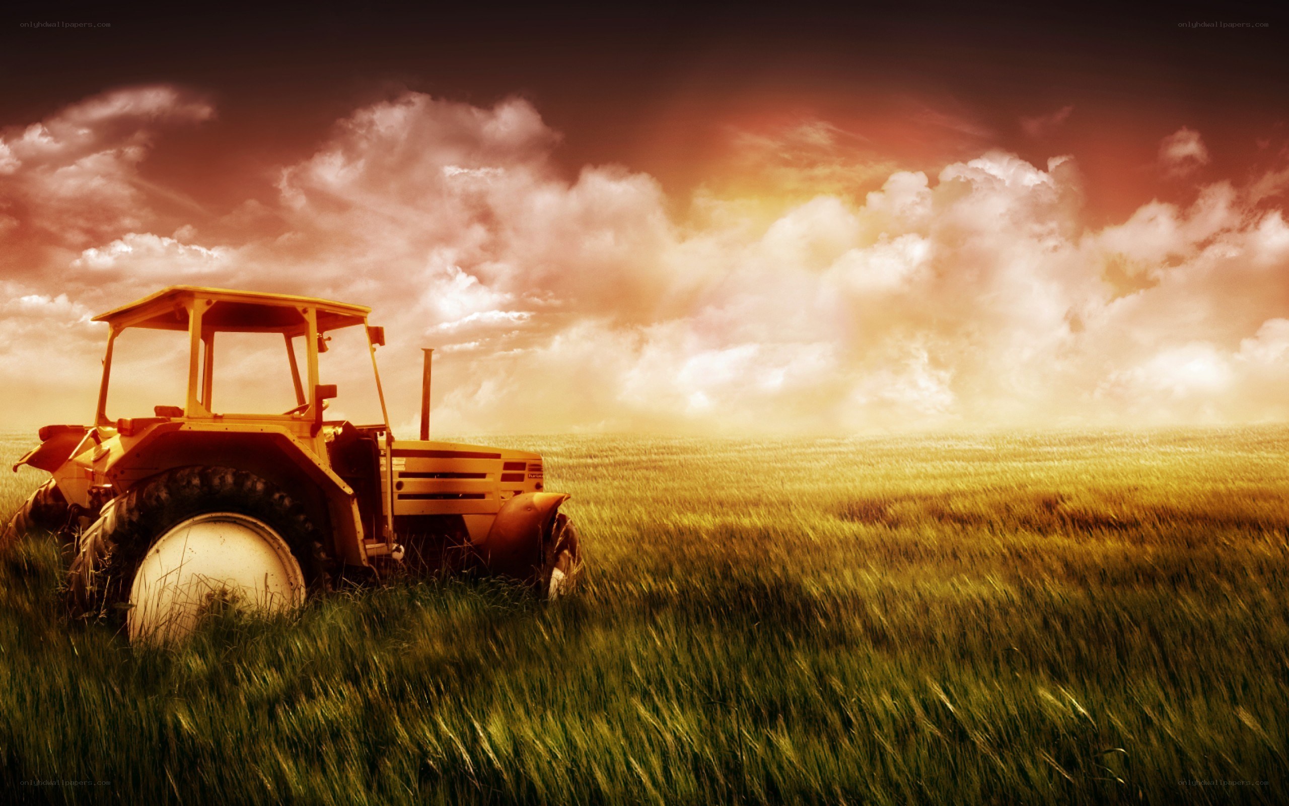Tractor in a golden field