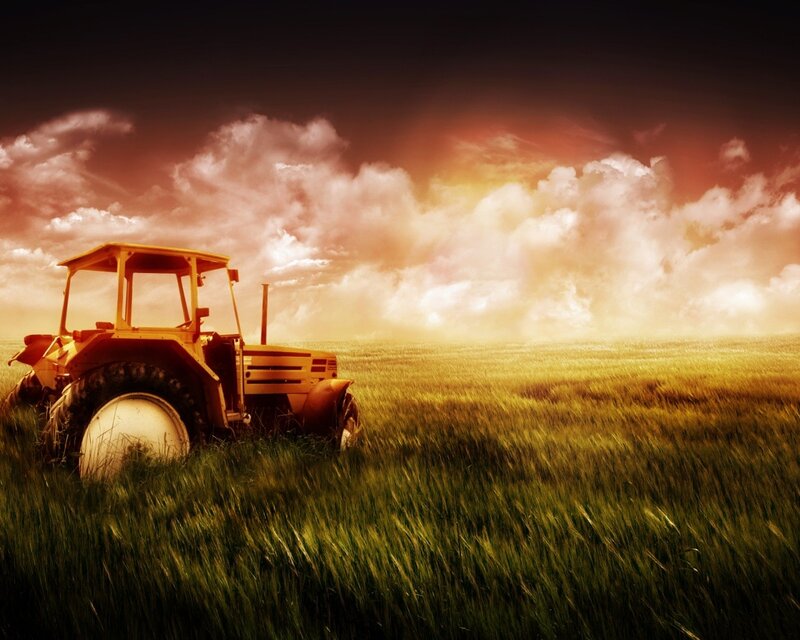Tractor in a golden field