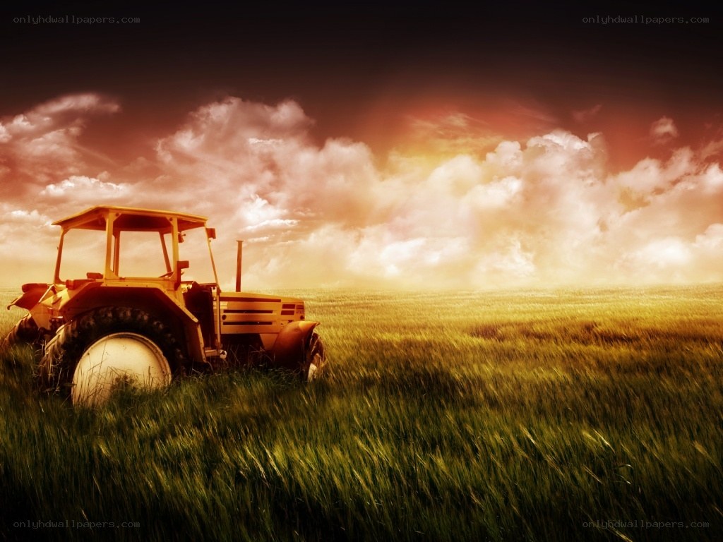 Tractor in a golden field