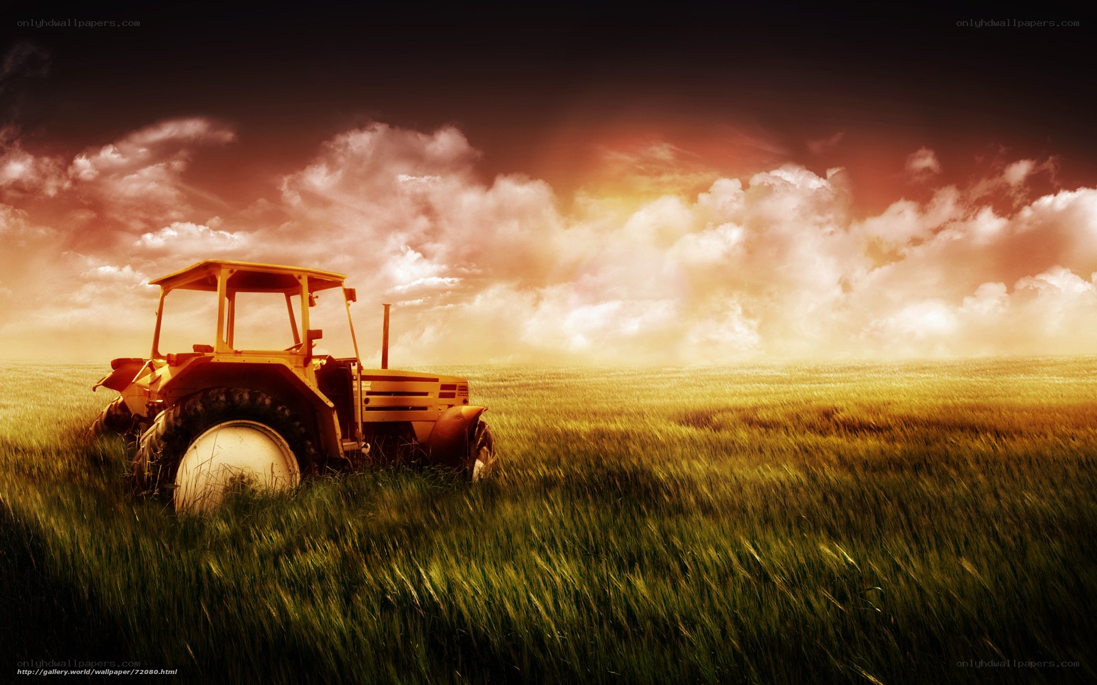 Tractor in a golden field