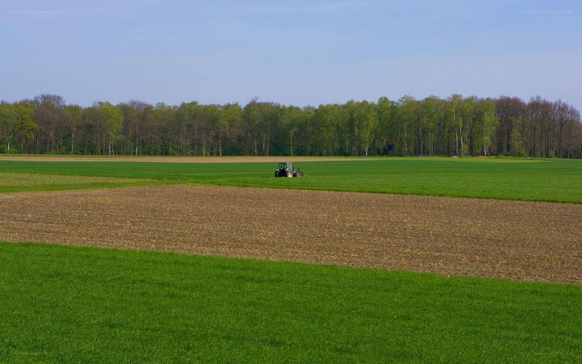 Tractor in a green field