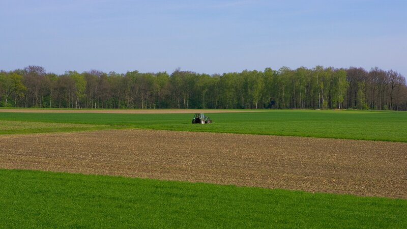 Tractor in a green field