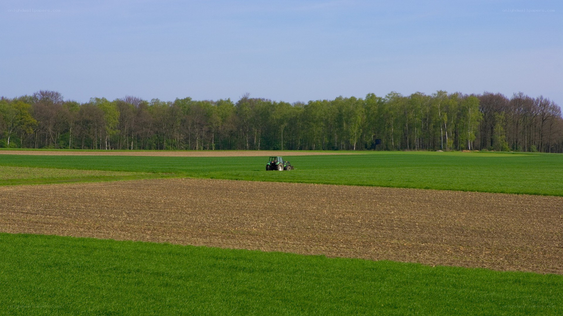 Tractor in a green field