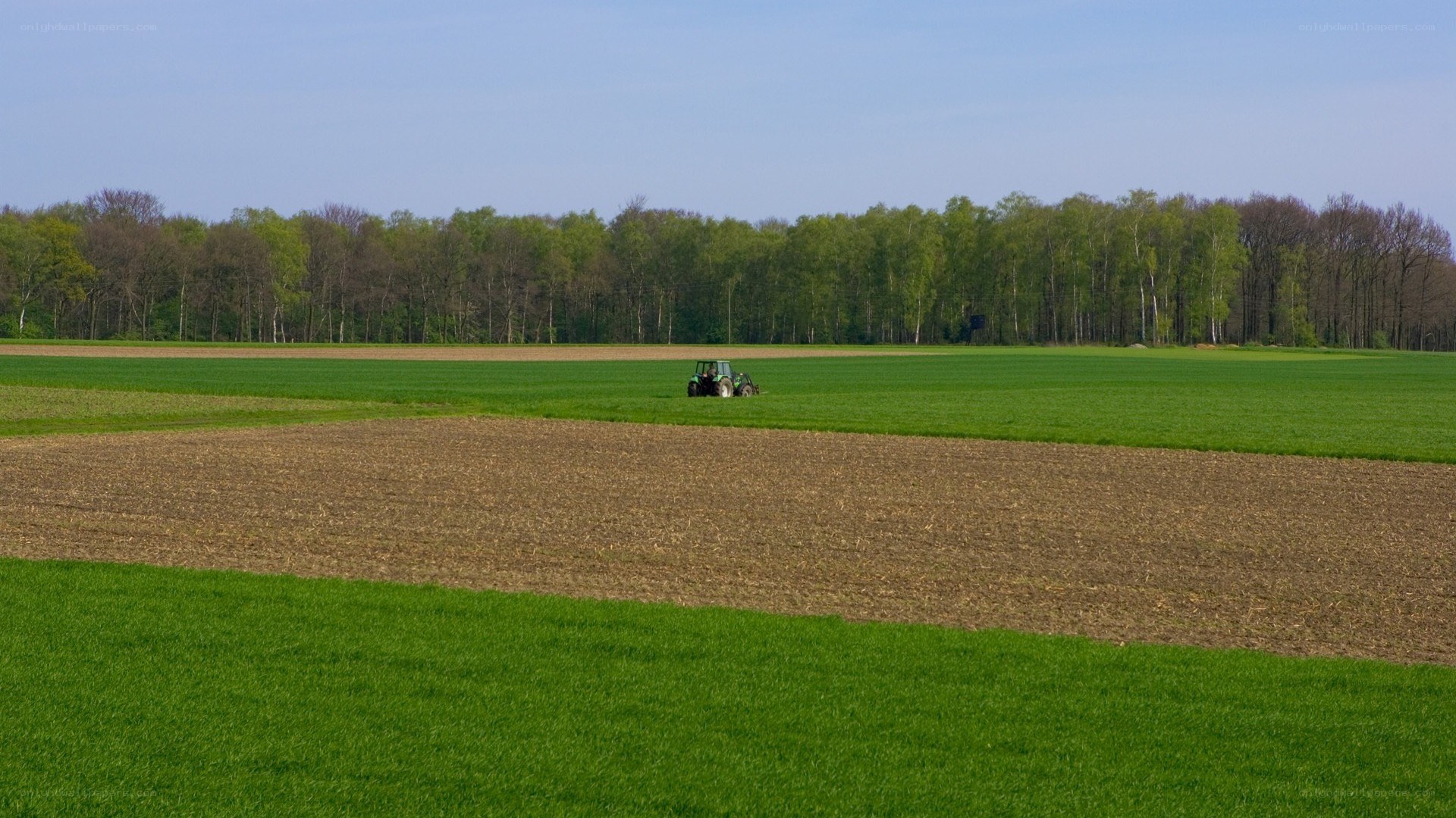 Tractor in a green field