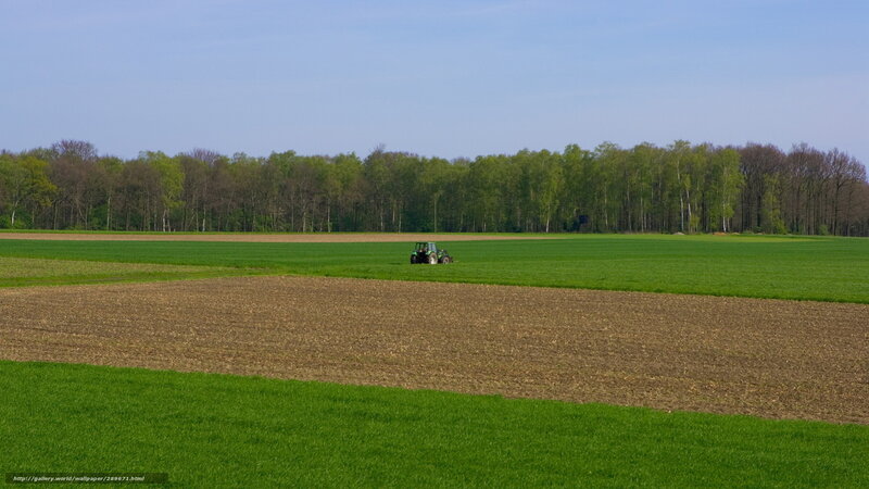 Tractor in a green field