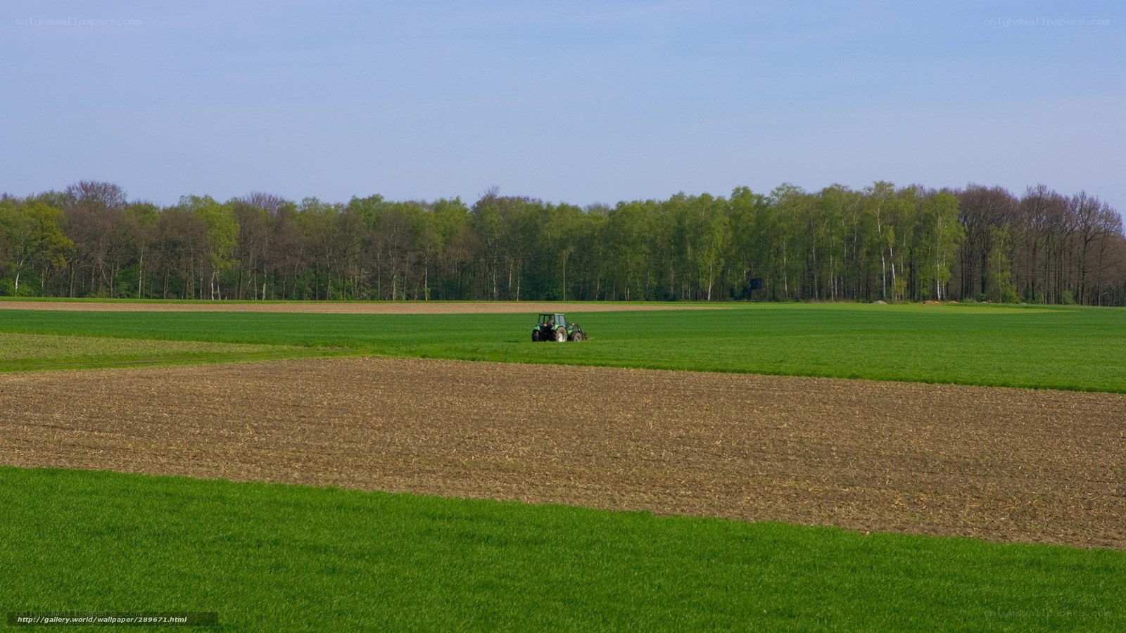 Tractor in a green field
