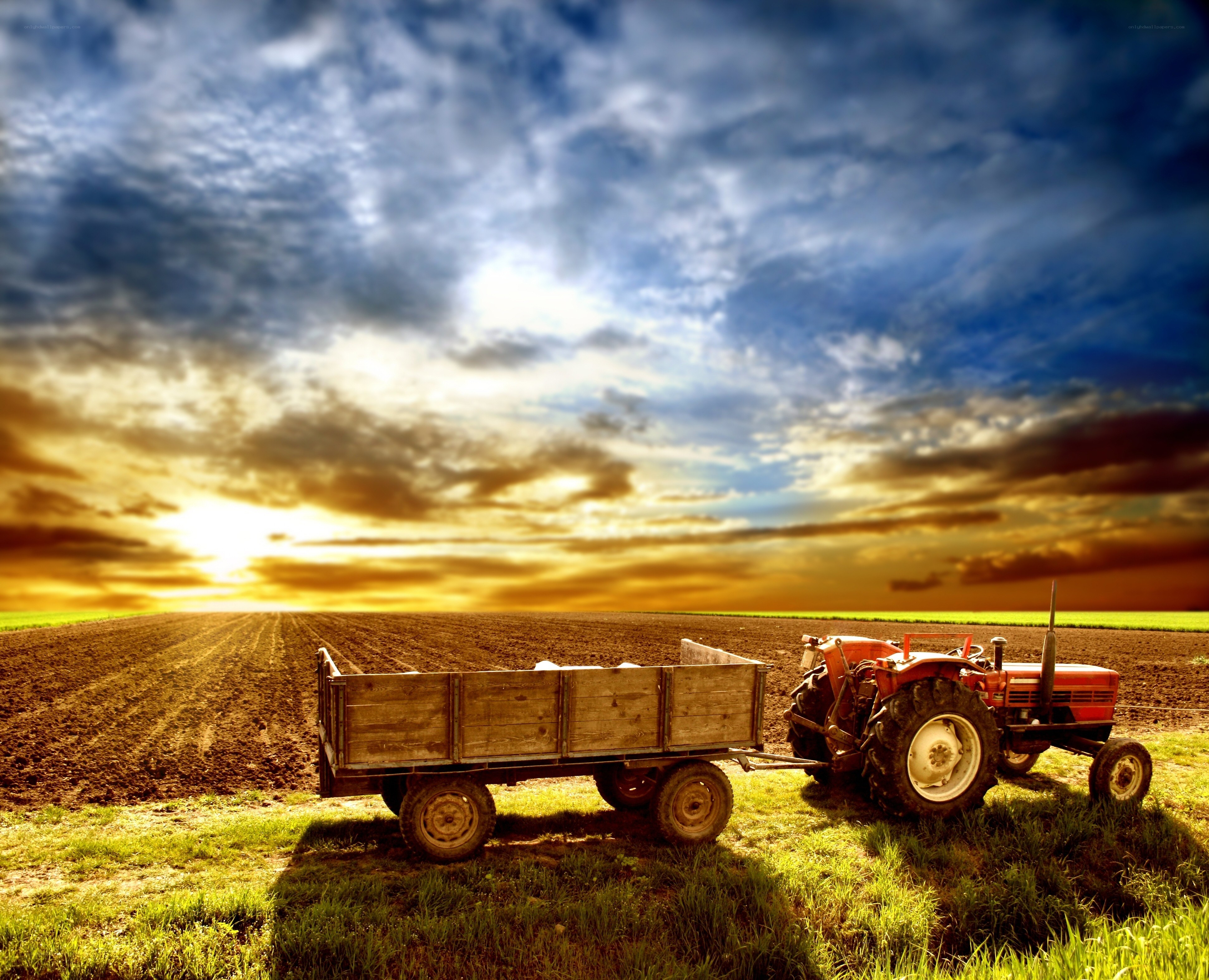 Tractor in a plowed field