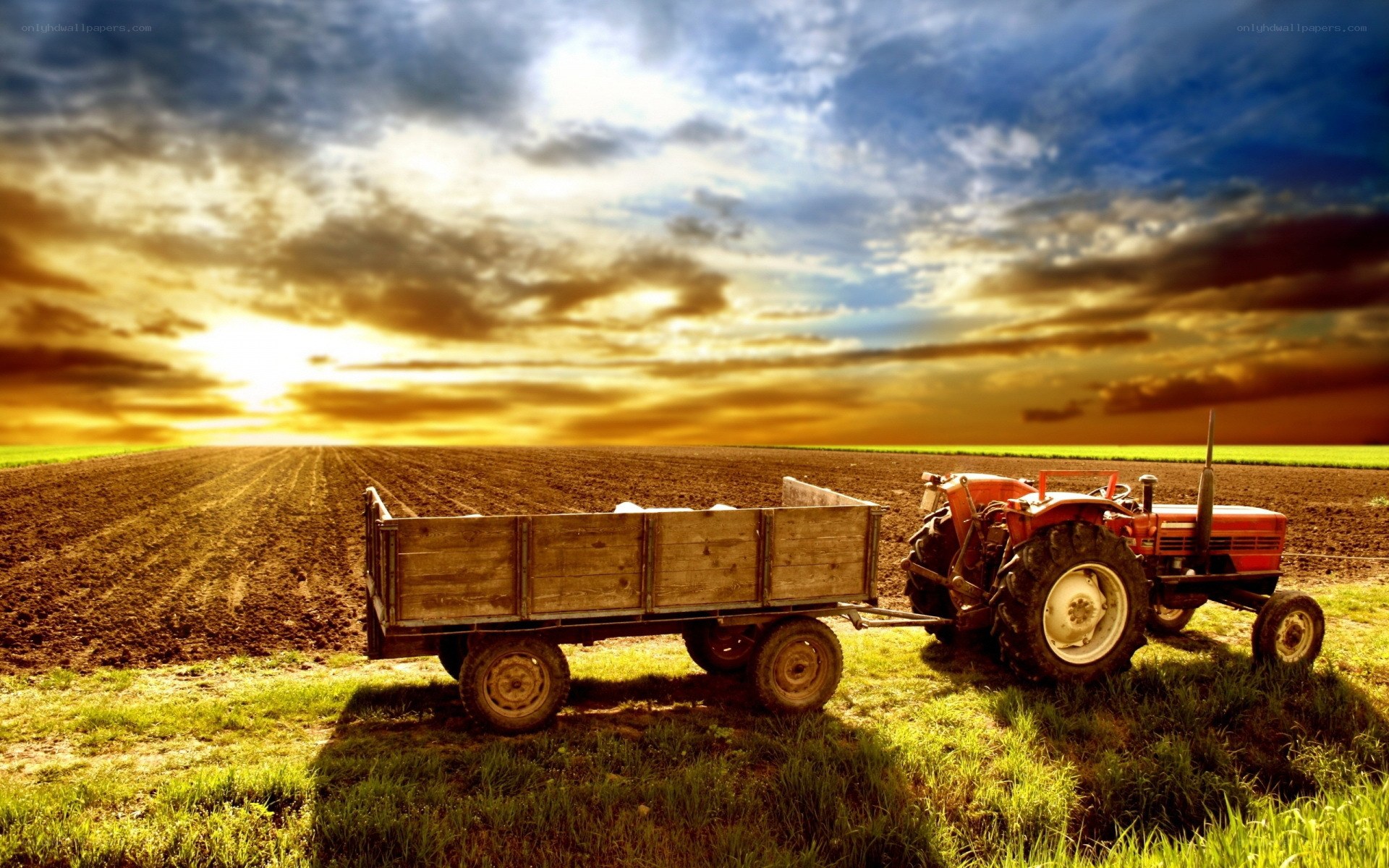 Tractor in a plowed field