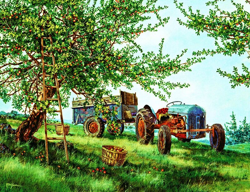 Tractor in Apple Orchard