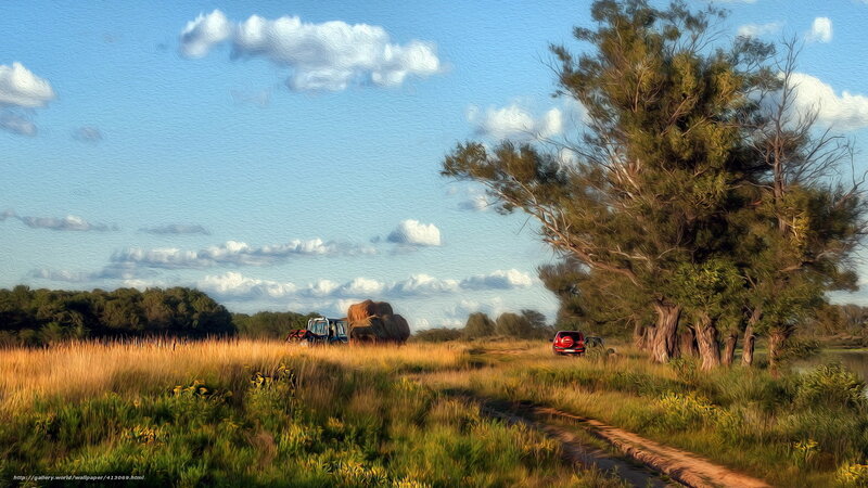 Tractor in Field — Blue